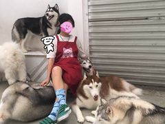 -星多哈·狗咖·拼豆·咖啡