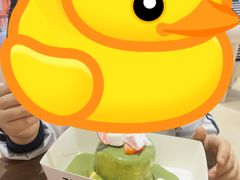-狐狸和向日葵(北京路店)