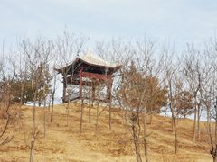 -马家湾湿地公园