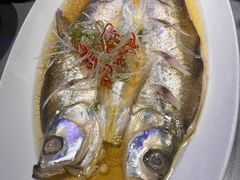 -姑苏家宴·苏帮菜·松鼠桂鱼(苏州总店)