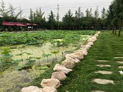 -洪湖家庭农场·团建·露营·会议