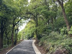 -平湖九龙山旅游度假区