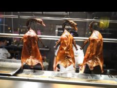 -优之名鹅城