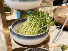-烹然四季椰子鸡火锅(姚家园万象汇店)