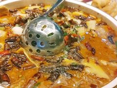 -蔼若春.传承三十年云南菜(金碧公园店)