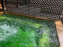 -春晖园度假酒店温泉