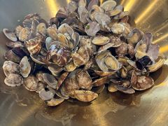 -浩运海鲜·16年专注青岛菜(石老人店)