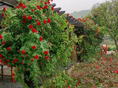 -龙寺生态园