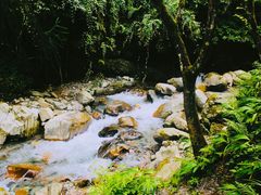 -西岭雪山大飞水景区