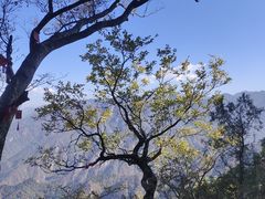 -终南山南五台景区