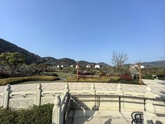 -洲晓鲜·舟山海鲜大排档(朱家尖风景区店)