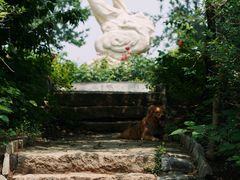 -云岗森林公园