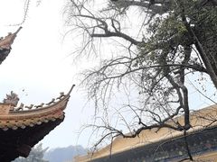-普陀山风景名胜区-法雨禅寺