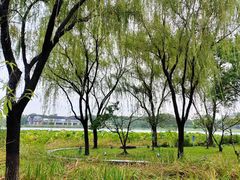 -阳澄湖半岛旅游度假区