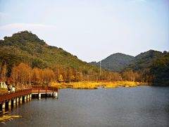 -广州市石门国家森林公园