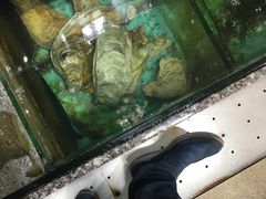 -蚝专家(北滘店)