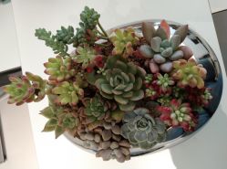 -颜蕾医美·黄金微针·水光·玻尿酸·超声炮·抗衰中心
