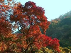 -广州市石门国家森林公园