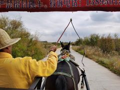 -水洞沟旅游区