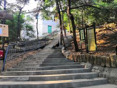 -燕塞湖鸟语林景区