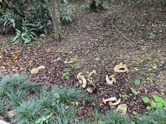 -福建鲤鱼洲酒店