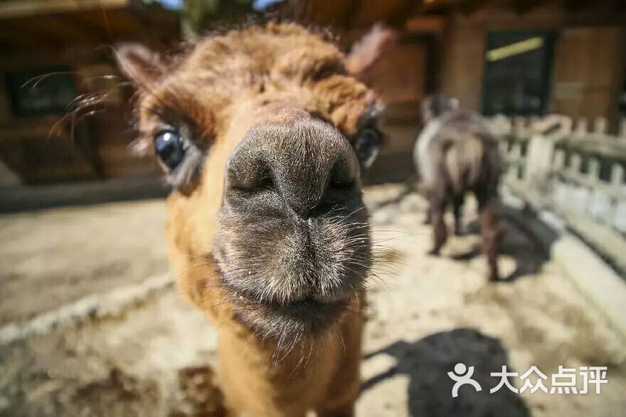 英凤烧饵块(建设街)图片 - 第2张