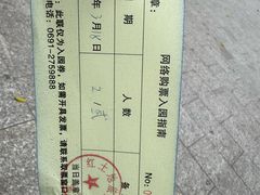 -西双版纳原始森林公园