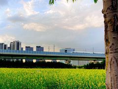 -光明小镇欢乐田园