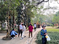 -瑞丽独树成林风景区