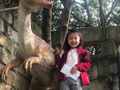 -自贡恐龙博物馆