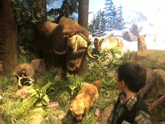 -陕西自然博物馆