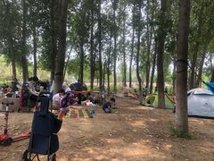 -东郊湿地公园