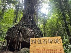 -莫里热带雨林景区