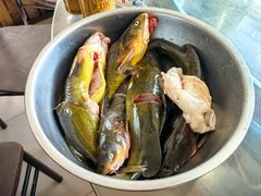 -姥家大锅台水库渔家