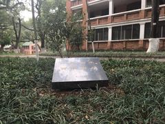 -中山大学学者灵芝(园南路店)