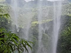 -凤凰山国家森林公园