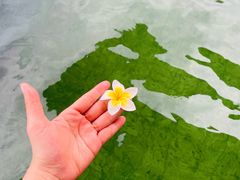 -碧水湾温泉