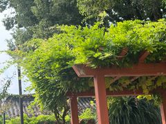 -迎江寺