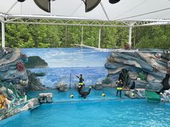 -上海野生动物园