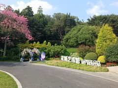 -云溪植物园