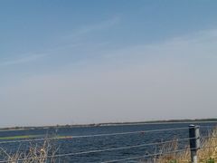 -蒲河岛湿地公园
