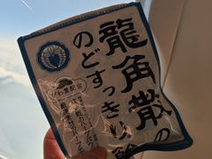 -全日本空输株式会社(上海办事处)