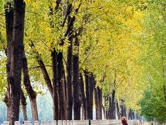 -汉长安城未央宫国家考古遗址公园