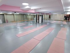 -蒲公英舞蹈艺术中心(解放路校区)