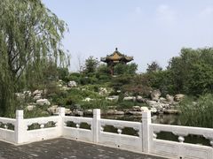 -武清南湖绿博园