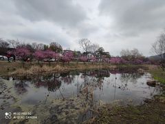 -石塘人家