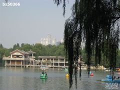 -紫竹院公园冰场