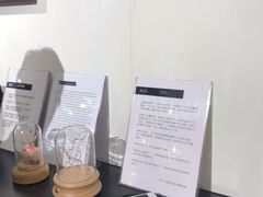-星空失恋博物馆(北京路旗舰店)