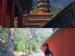 -天目山大树王景区