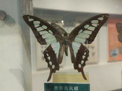 -陕西自然博物馆